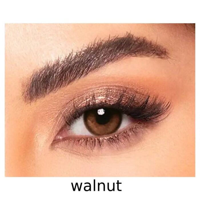 ⁦عدسات امارا الشهرية⁩ - الصورة ⁦11⁩