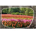 ⁦عدسات لتصحيح عمى الألوان (حصريا)  colorblindness lenses⁩ - الصورة ⁦3⁩