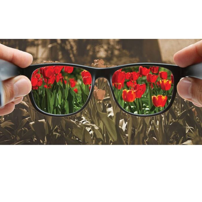 ⁦عدسات لتصحيح عمى الألوان (حصريا)  colorblindness lenses⁩ - الصورة ⁦2⁩