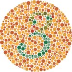 ⁦اختبار ايشيهارا لتحديد عمى الألوان   colorblindness ishihara test⁩ - الصورة ⁦2⁩